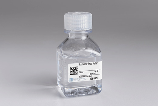 Nuclease-free Water