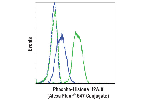 Phospho-Histone H2A.X (Ser139) (20E3) Rabbit mAb (Alexa Fluor 647 Conjugate)