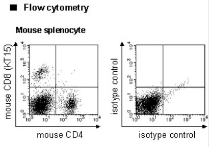 Anti-CD8 (Mouse) mAb-FITC