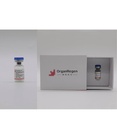 Recombinant Human FGF2