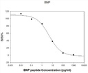 Rat BNP EIA
