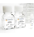 Vitronectin XF