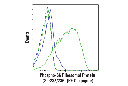 Phospho-S6 Ribosomal Protein (Ser235/236) (D57.2.2E) XP Rabbit mAb (PE Conjugate)