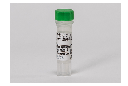 Anti-biotin HRP-linked Antibody