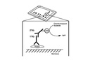 Rb Antibody Sampler Kit