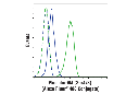 Phospho-Akt (Ser473) (D9E) XP Rabbit mAb (Alexa Fluor 488 Conjugate)
