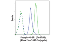 Phospho-4E-BP1 (Thr37/46) (236B4) Rabbit mAb (Alexa Fluor 647 Conjugate)