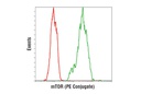 mTOR (7C10) Rabbit mAb (PE Conjugate)