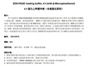 4×蛋白上样缓冲液（含巯基还原剂）