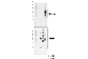 TIM-4 (D3W4F) XP Rabbit mAb